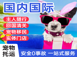 郑州航空运输国际宠物托运 【国